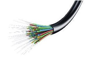 Fibre